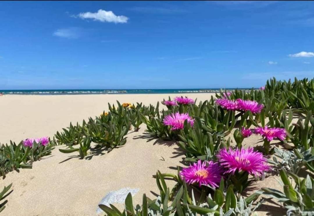 Marea Il Tuo Angolo Di Paradiso In Sicilia Ti Aspetta Prenota Ora E Vivi La Magia Del Mediterraneo Alcamo Marina Exterior photo