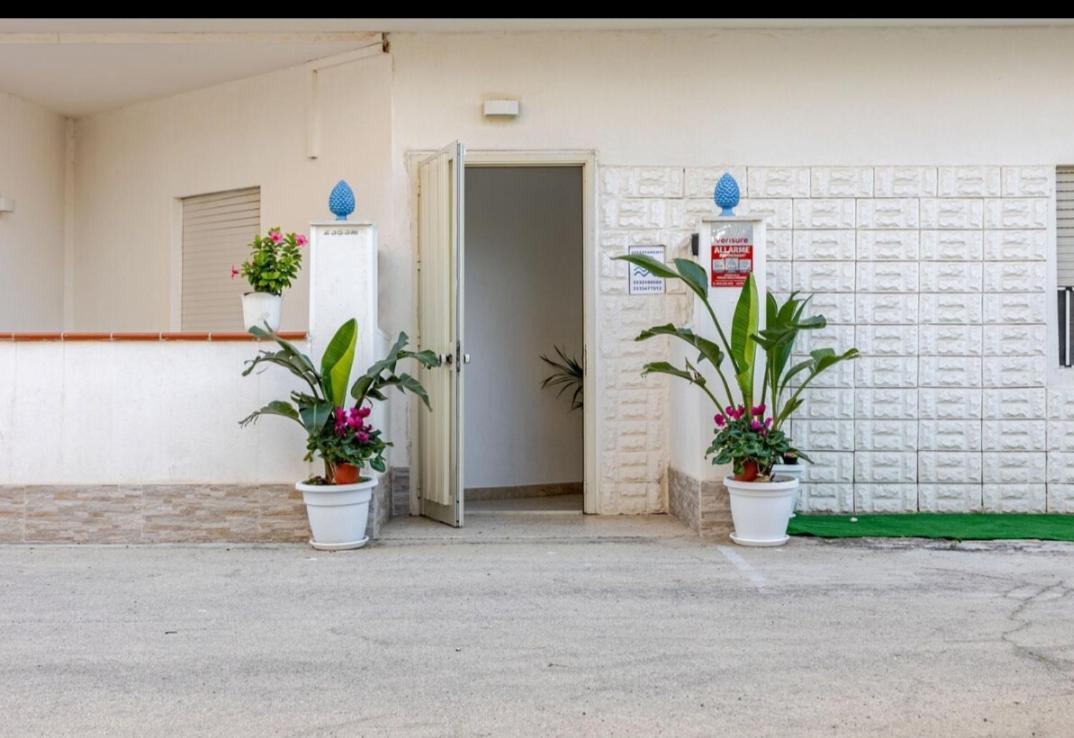 Marea Il Tuo Angolo Di Paradiso In Sicilia Ti Aspetta Prenota Ora E Vivi La Magia Del Mediterraneo Alcamo Marina Exterior photo